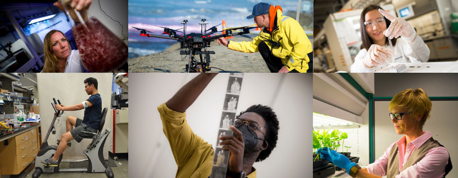 Photo collage of researchers at UC San Diego